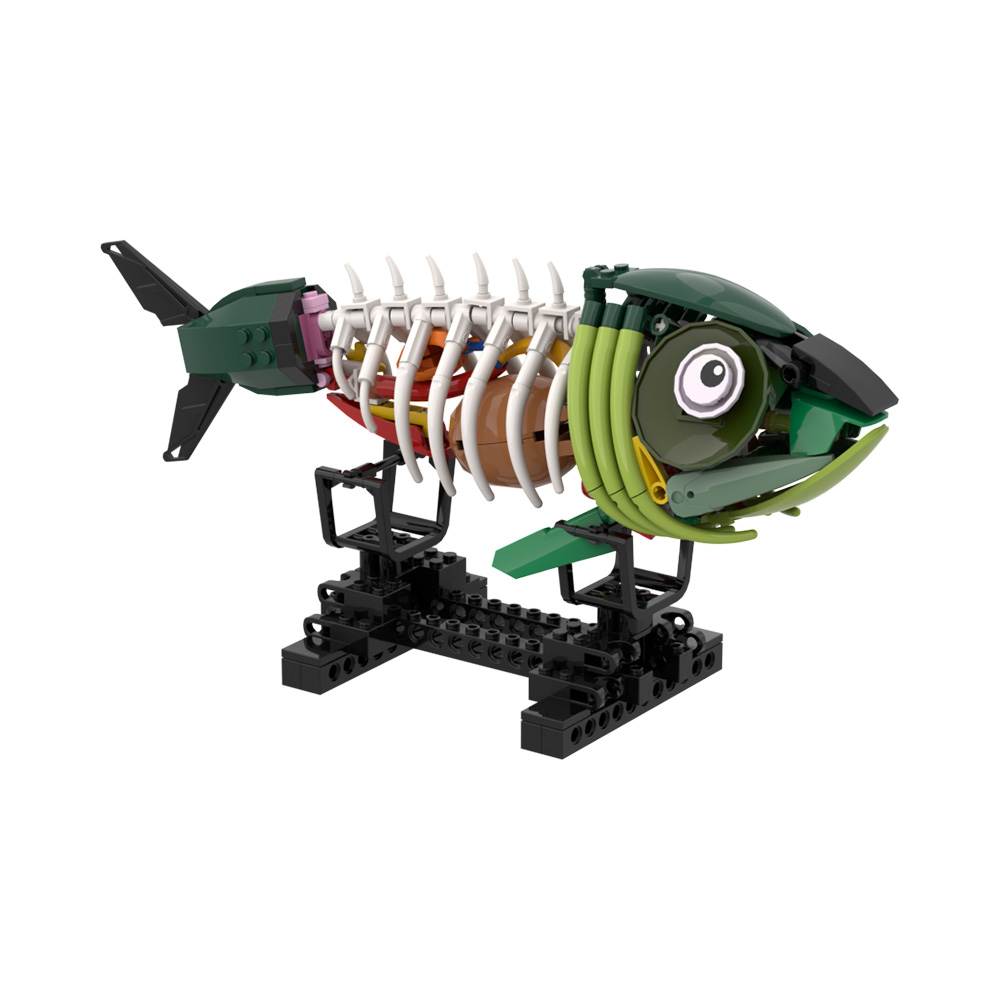 مكعبات بناء نموذج سمكة الزومبي - مراجعة Kids Zombie Toys وسعره